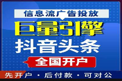 网络推广与竞价策略实战案例